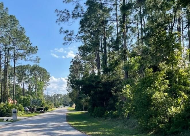 For Sale: $110,000 (0.44 acres)