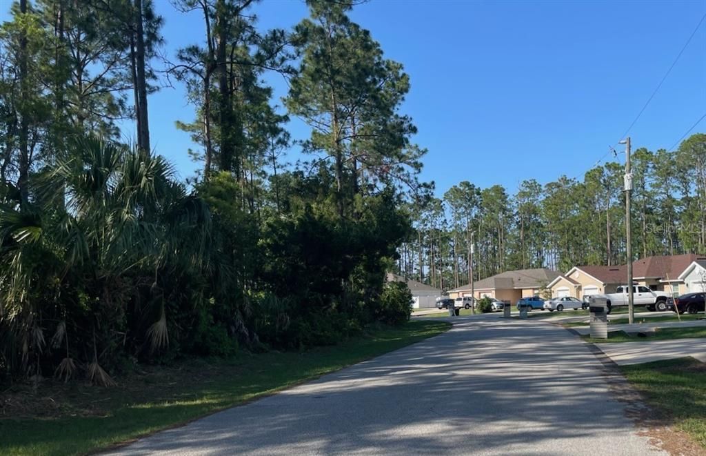 For Sale: $110,000 (0.44 acres)