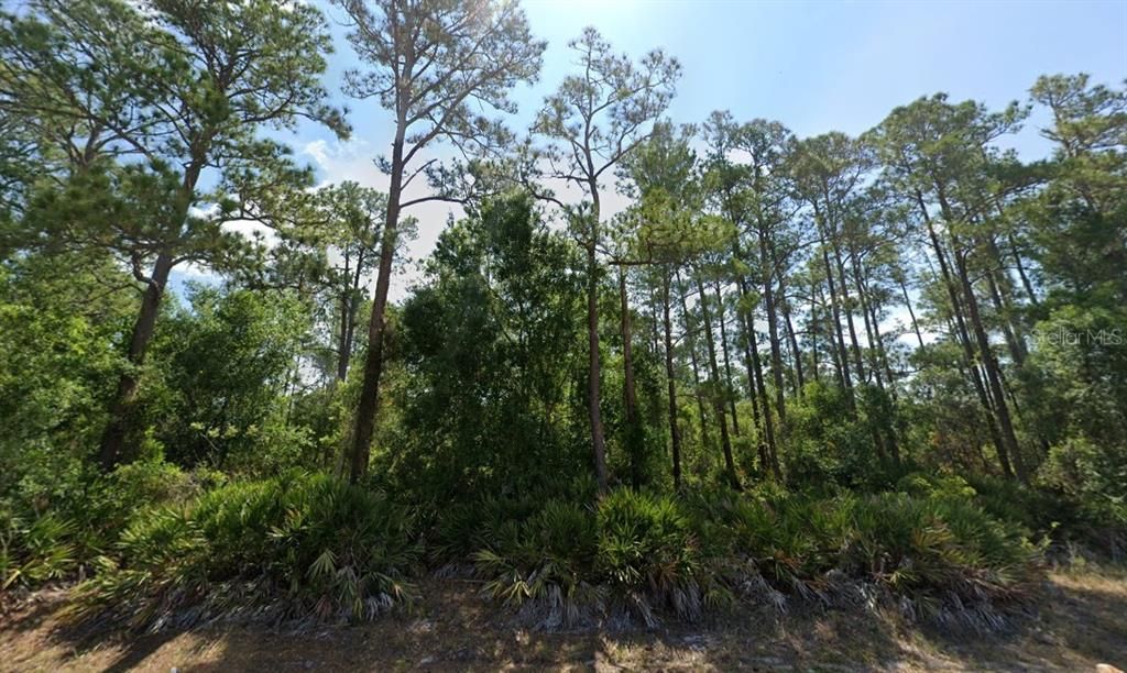 For Sale: $25,000 (0.91 acres)