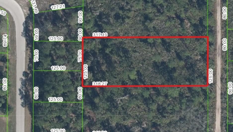 For Sale: $25,000 (0.91 acres)