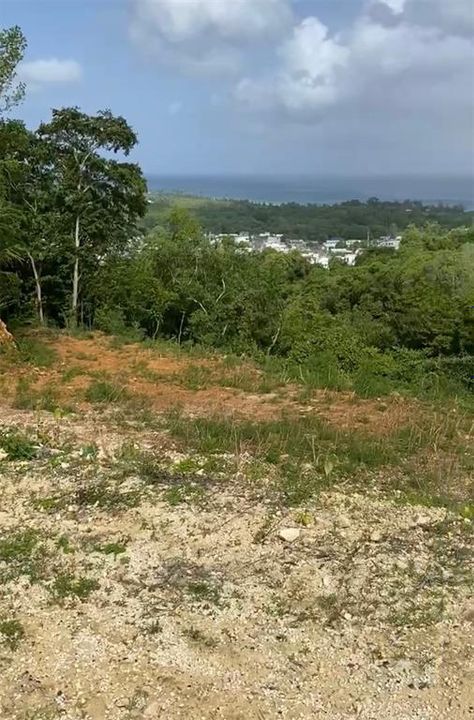 For Sale: $155,000 (0.25 acres)