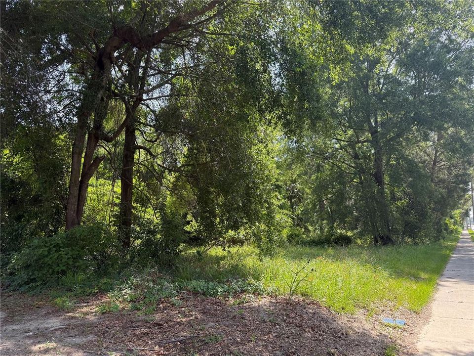 Recently Sold: $35,000 (0.17 acres)