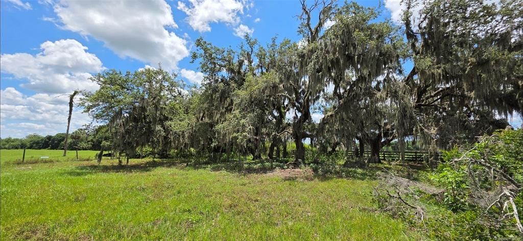 На продажу: $399,000 (3 спален, 2 ванн, 1434 Квадратных фут)