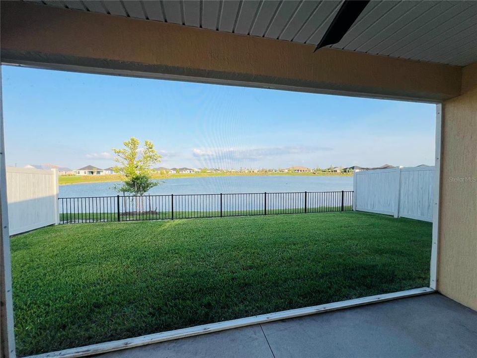 How about this view for a backyard?