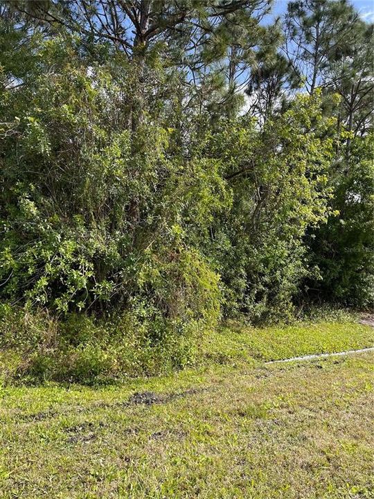 Active With Contract: $65,900 (0.24 acres)