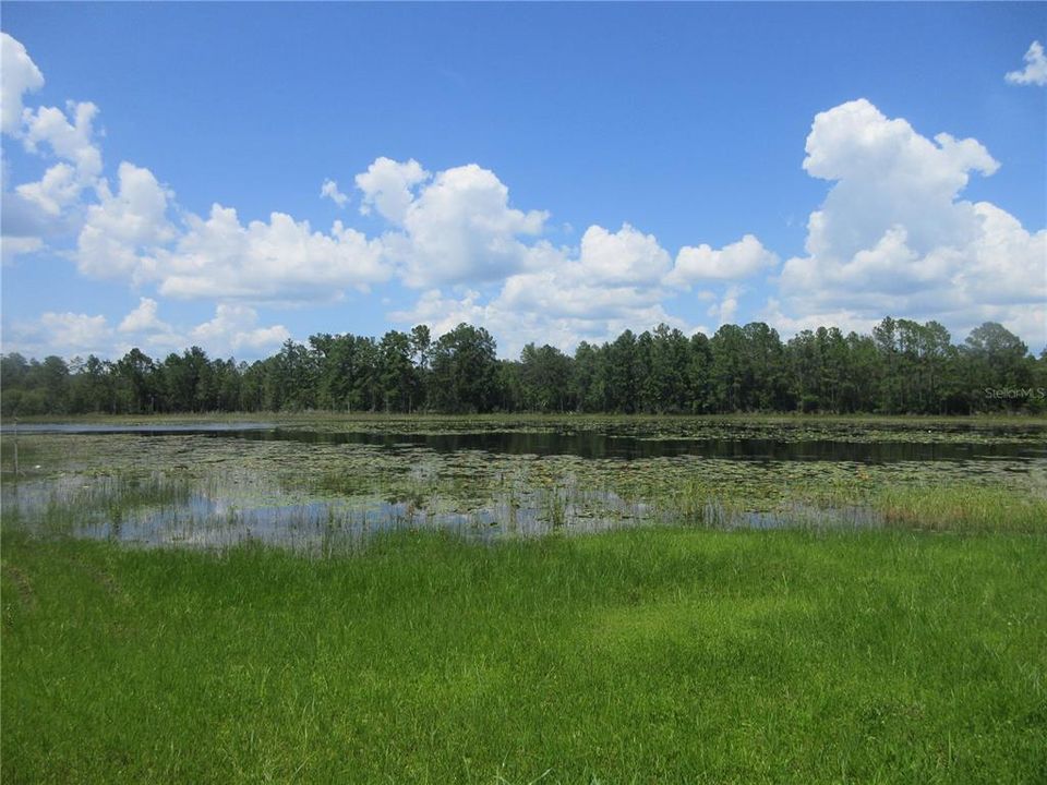 待售: $179,000 (6.95 acres)