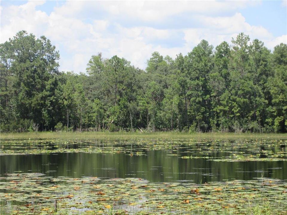 待售: $179,000 (6.95 acres)