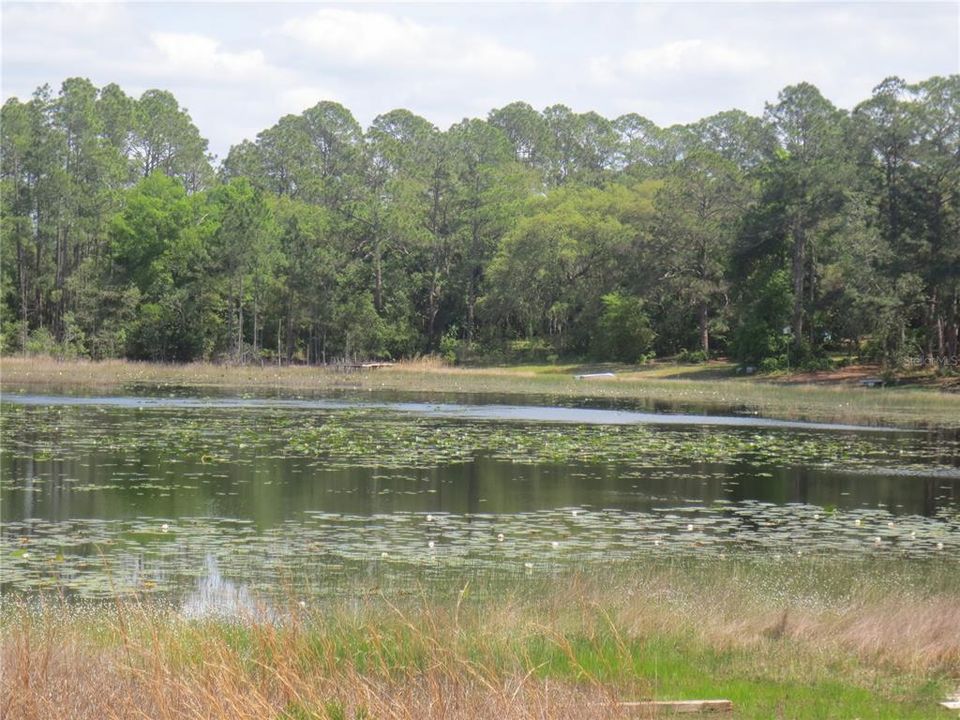 待售: $179,000 (6.95 acres)