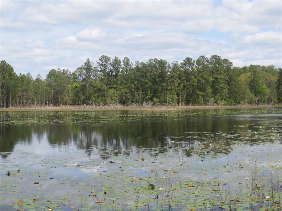 待售: $179,000 (6.95 acres)