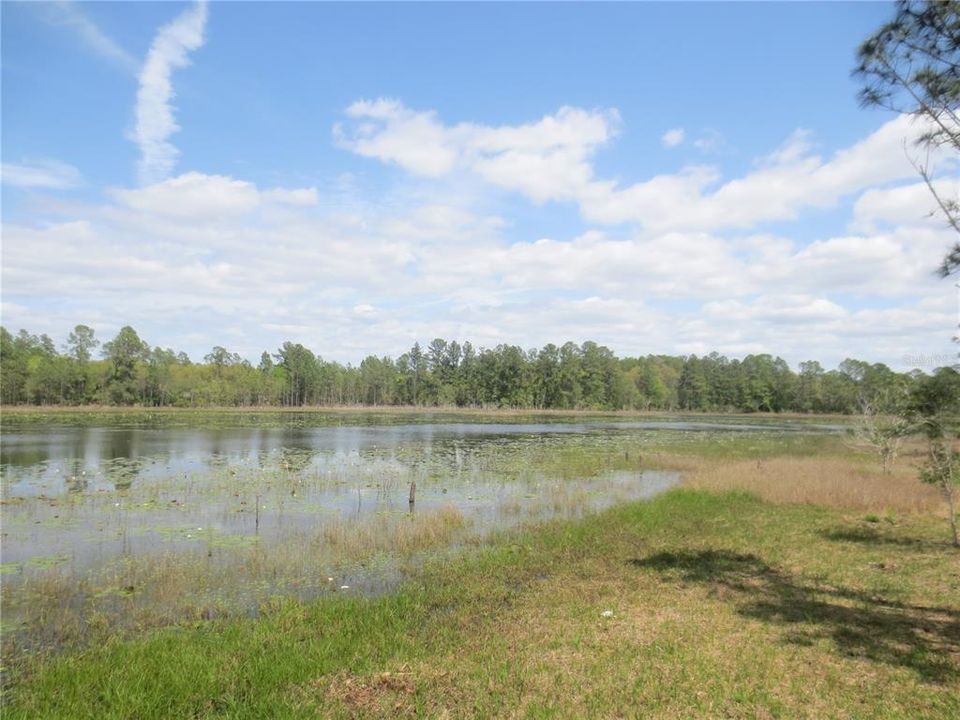 待售: $179,000 (6.95 acres)