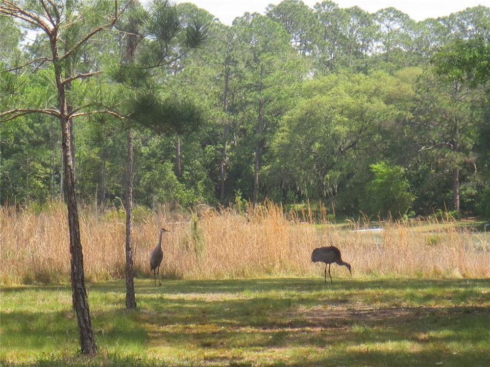 待售: $179,000 (6.95 acres)