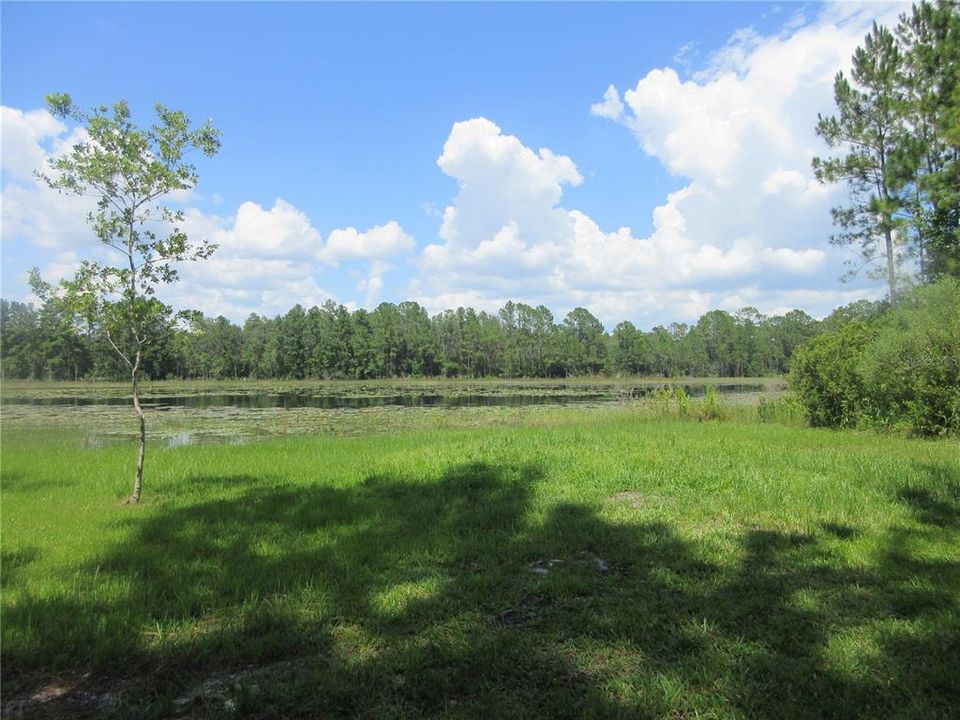 待售: $179,000 (6.95 acres)