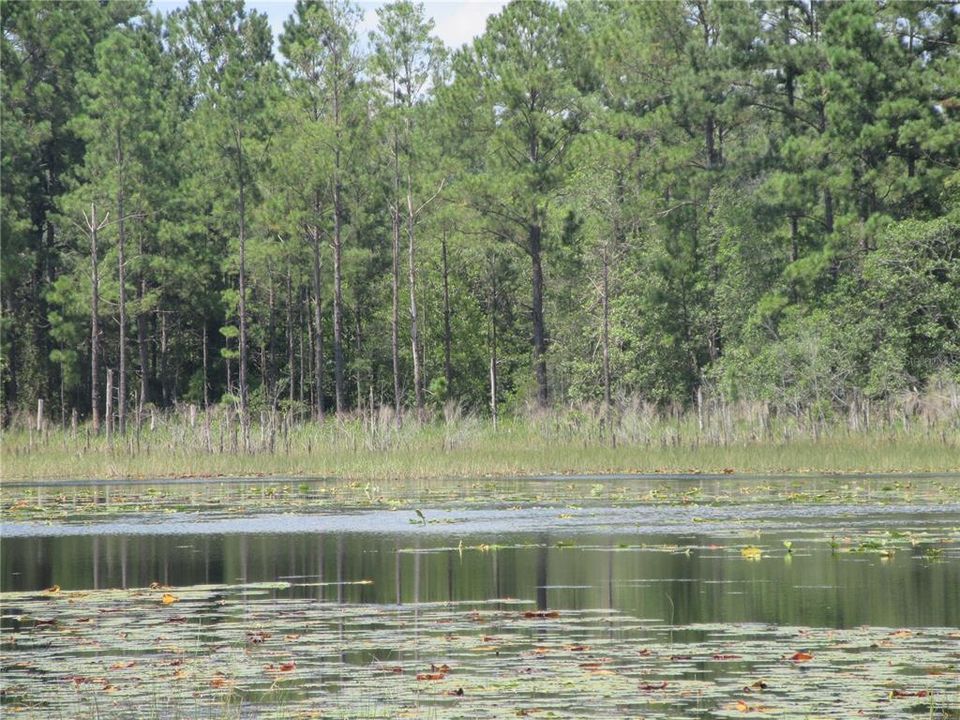 待售: $179,000 (6.95 acres)