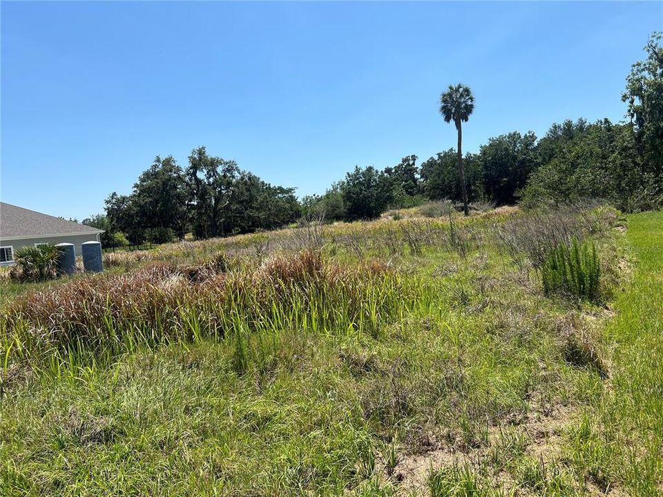 For Sale: $269,900 (1.02 acres)