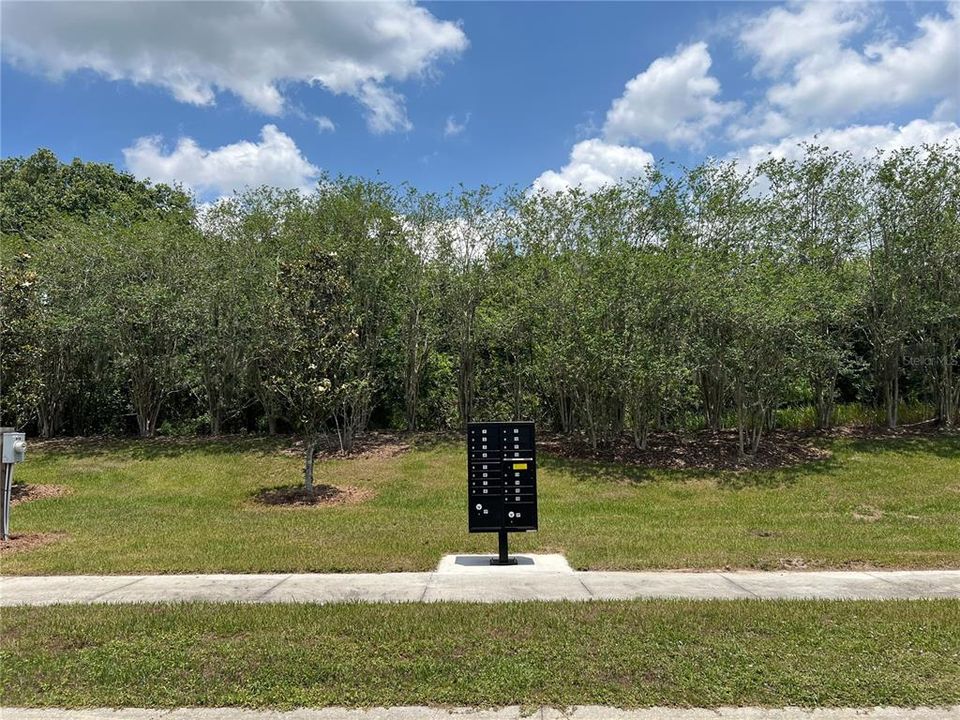 For Sale: $269,900 (1.02 acres)