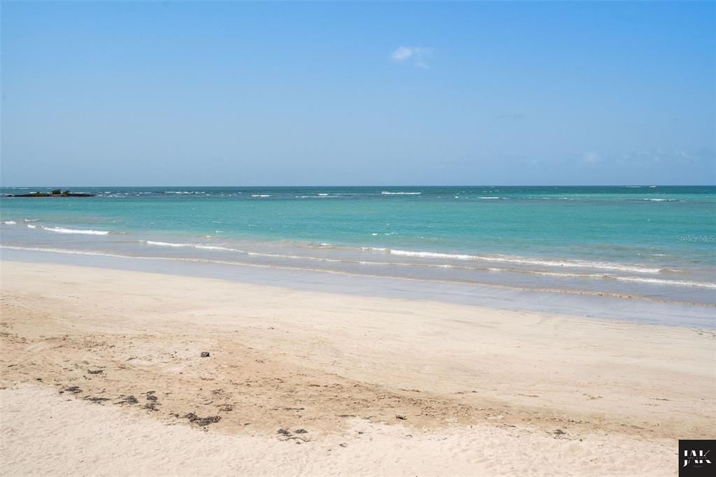 待售: $15,000,000 (6 贝兹, 6 浴室, 6590 平方英尺)