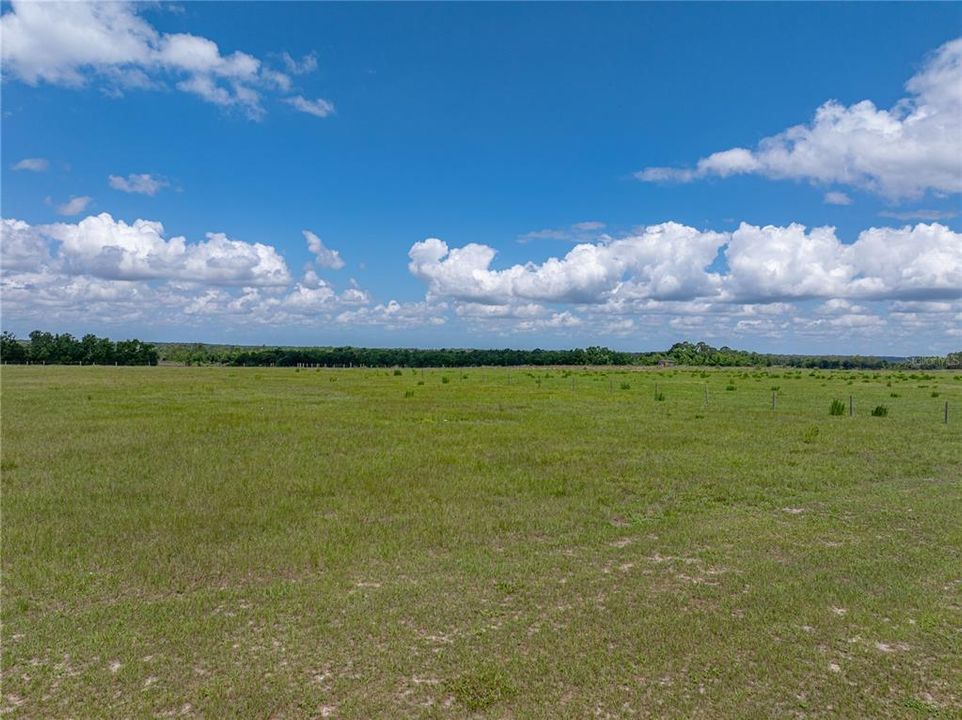 For Sale: $775,000 (5 beds, 3 baths, 3098 Square Feet)