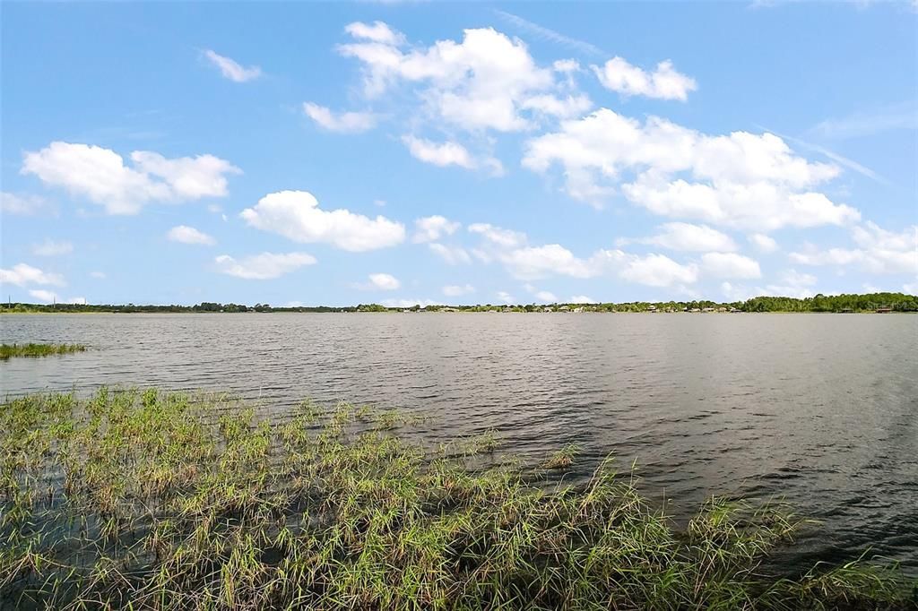 На продажу: $1,099,999 (4 спален, 3 ванн, 4733 Квадратных фут)