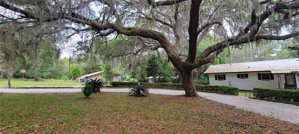 Recientemente alquilado: $1,775 (4 camas, 2 baños, 2080 Pies cuadrados)