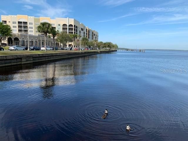 待售: $63,000 (0.07 acres)