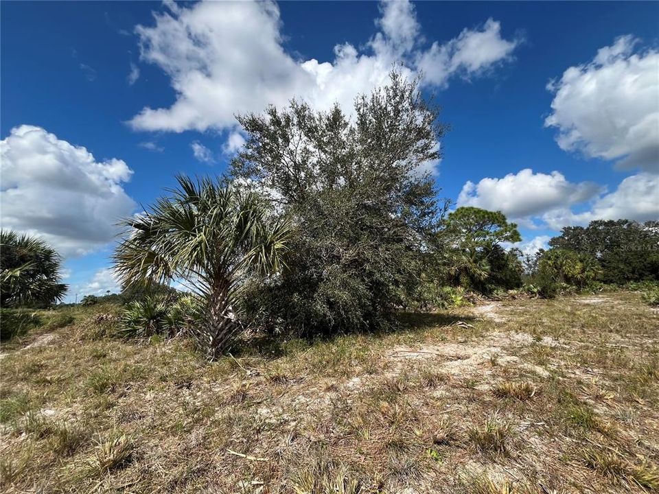 En Venta: $48,500 (1.25 acres)