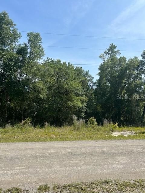 En Venta: $12,000 (0.29 acres)