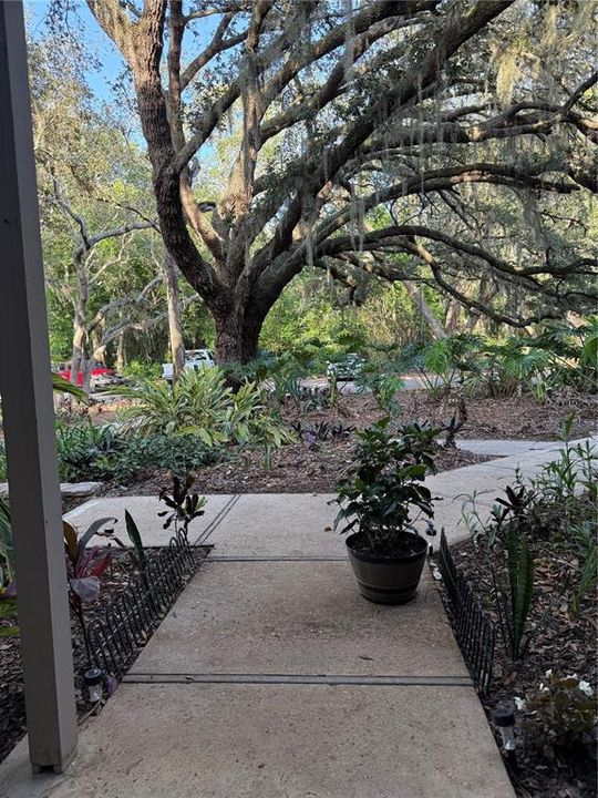 En Venta: $87,700 (1 camas, 1 baños, 974 Pies cuadrados)