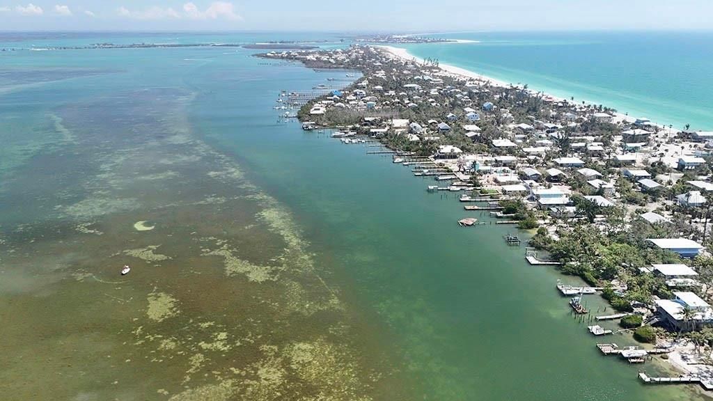 For Sale: $164,900 (0.03 acres)