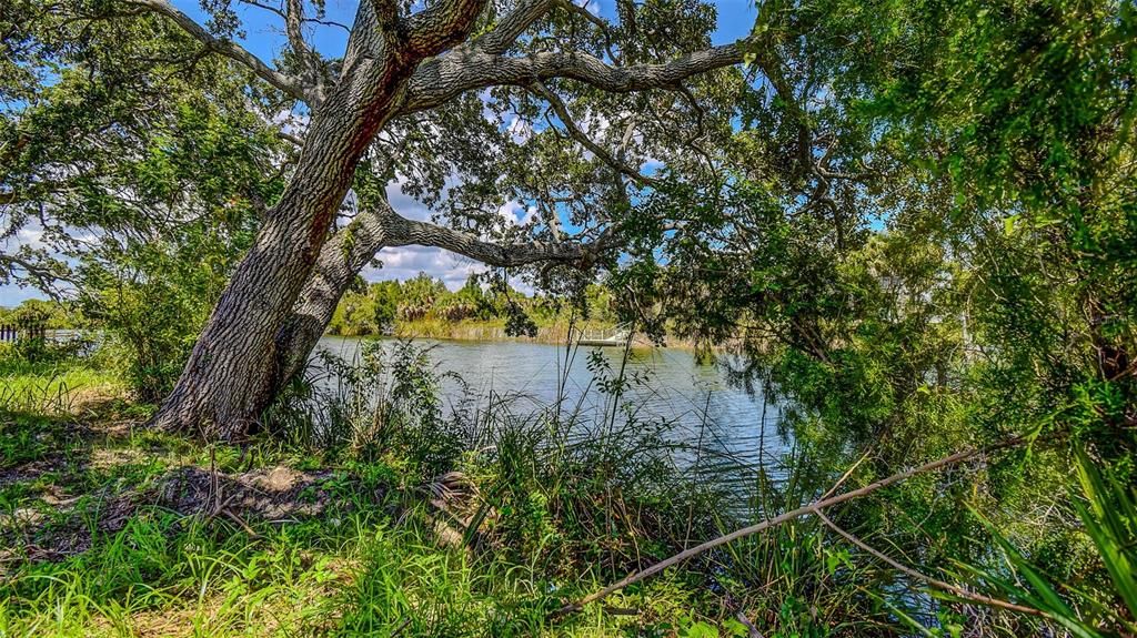 En Venta: $65,000 (0.11 acres)