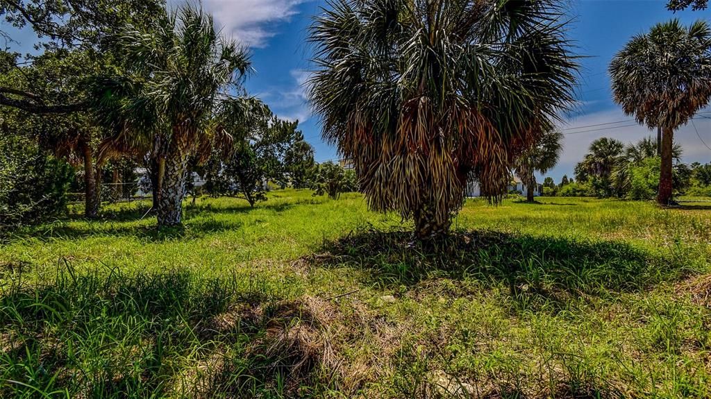 En Venta: $65,000 (0.11 acres)