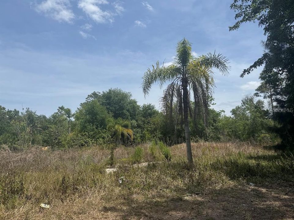 合同活跃: $99,900 (0.65 acres)