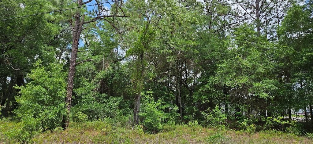 For Sale: $25,000 (0.20 acres)