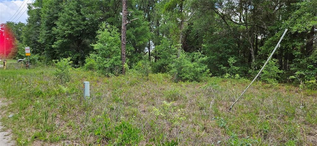 For Sale: $25,000 (0.20 acres)