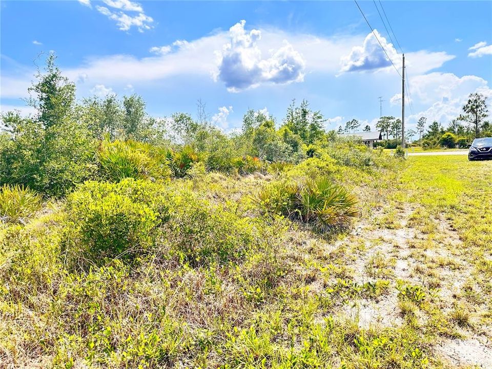 待售: $120,000 (0.99 acres)