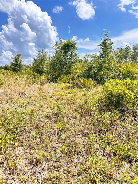 待售: $120,000 (0.99 acres)