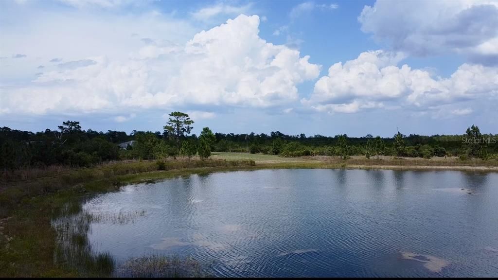 待售: $120,000 (0.99 acres)