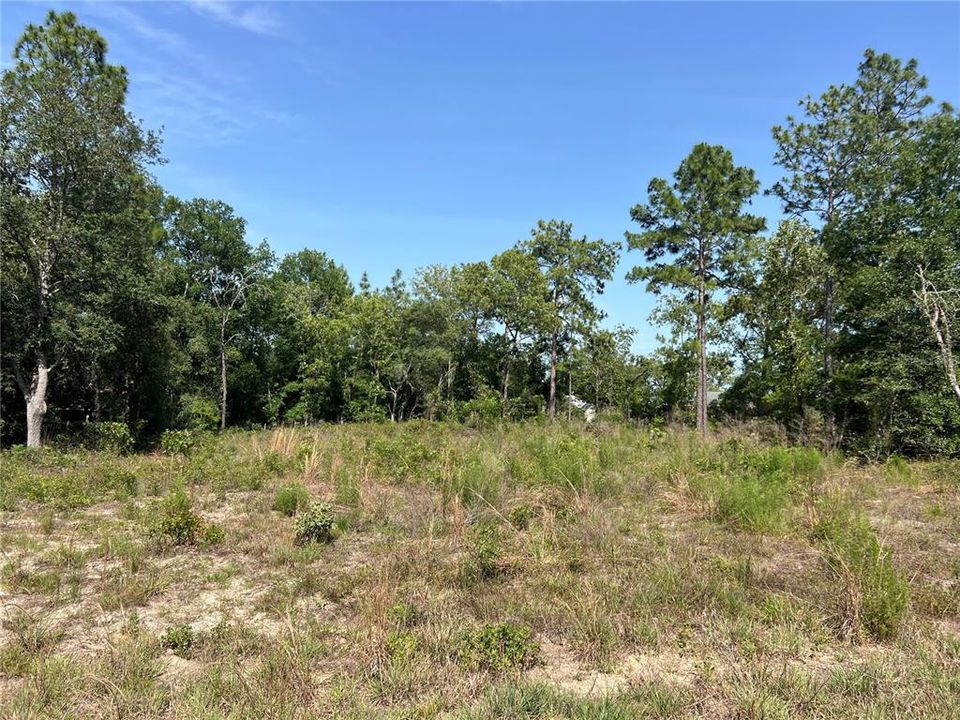 Recently Sold: $15,000 (0.23 acres)