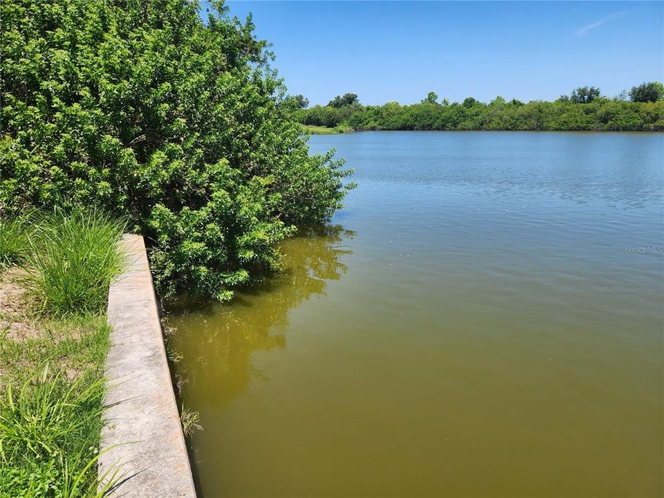 For Sale: $69,000 (0.56 acres)