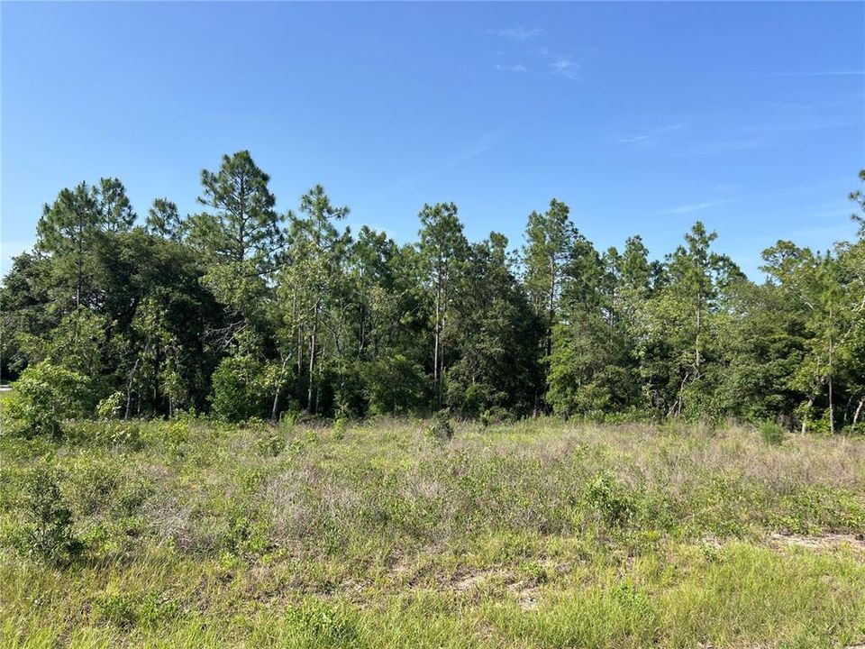 Vendido Recientemente: $15,000 (0.23 acres)