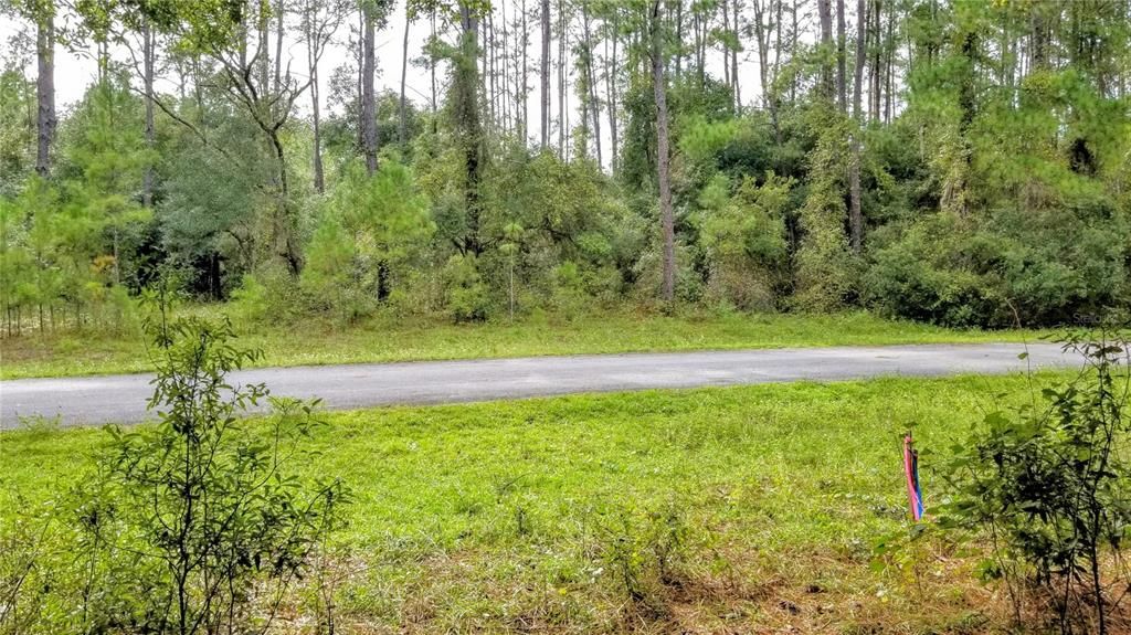 Activo con contrato: $17,999 (0.38 acres)