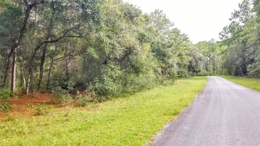 Activo con contrato: $17,999 (0.38 acres)