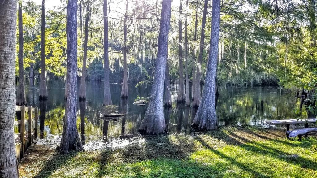 Activo con contrato: $17,999 (0.38 acres)