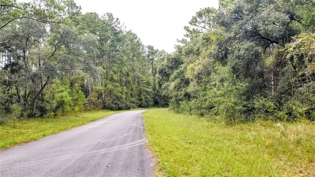 Activo con contrato: $17,999 (0.38 acres)