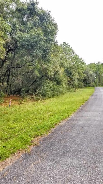 Activo con contrato: $17,999 (0.38 acres)