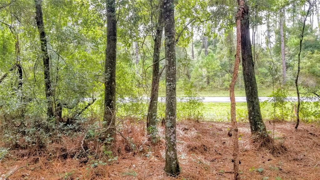 Activo con contrato: $17,999 (0.38 acres)