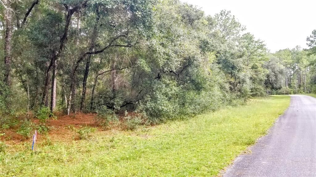 Activo con contrato: $17,999 (0.38 acres)