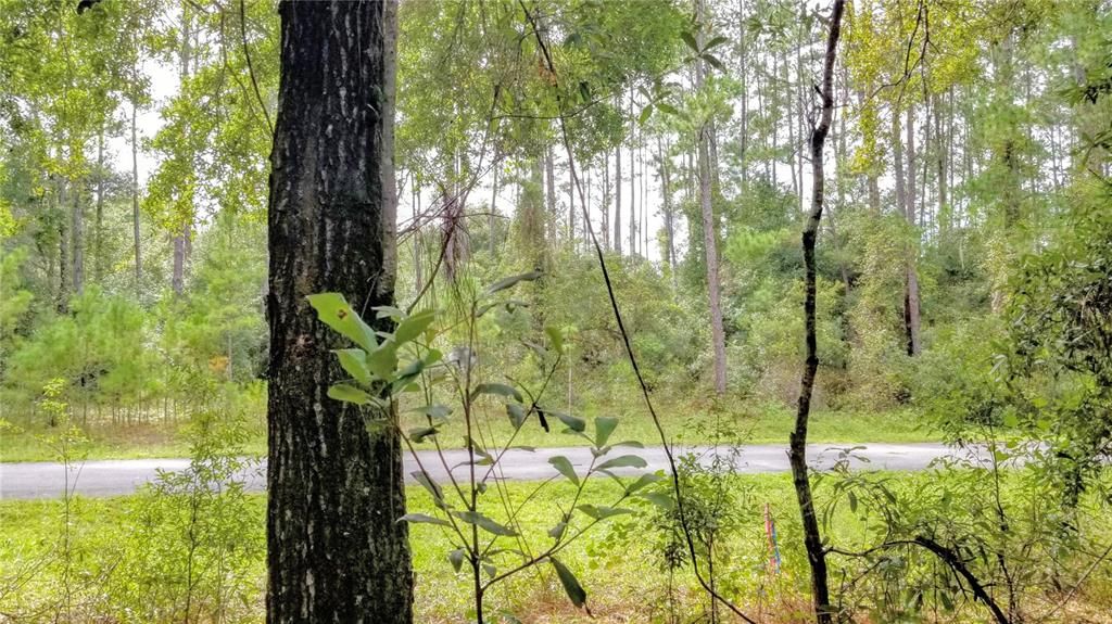 Activo con contrato: $17,999 (0.38 acres)