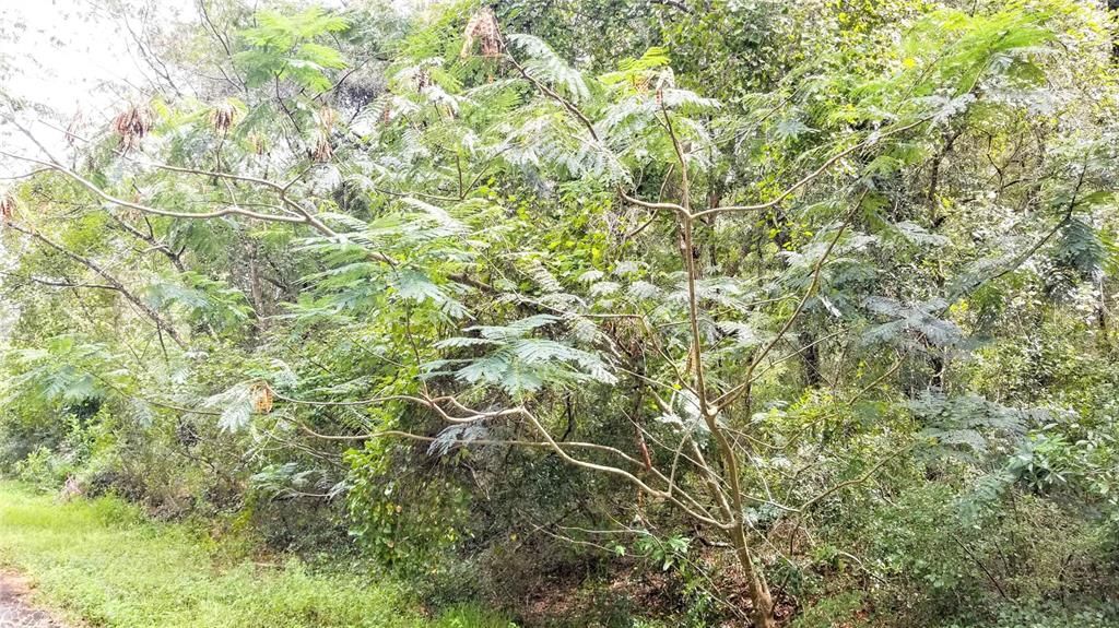 Под контрактом: $20,999 (0.43 acres)