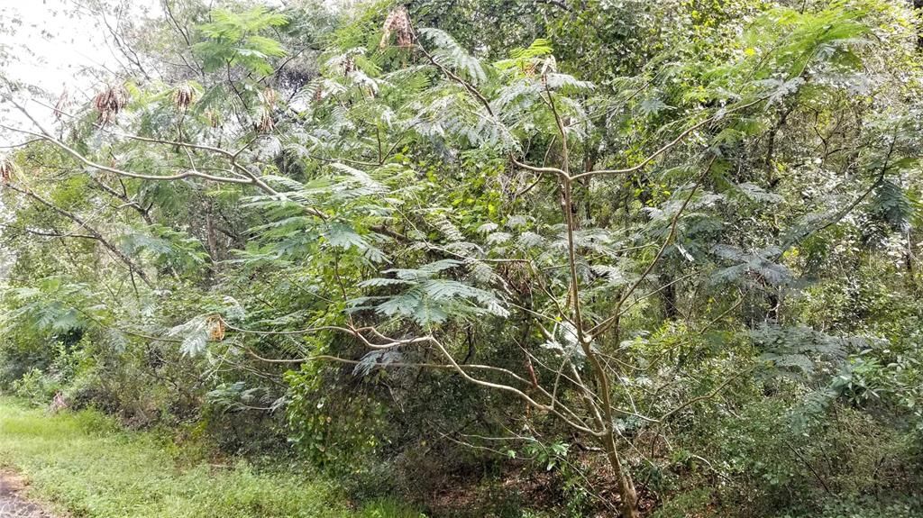 Под контрактом: $20,999 (0.43 acres)