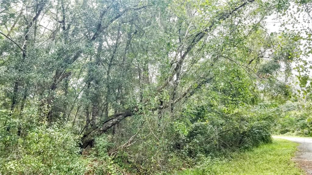 Под контрактом: $20,999 (0.43 acres)